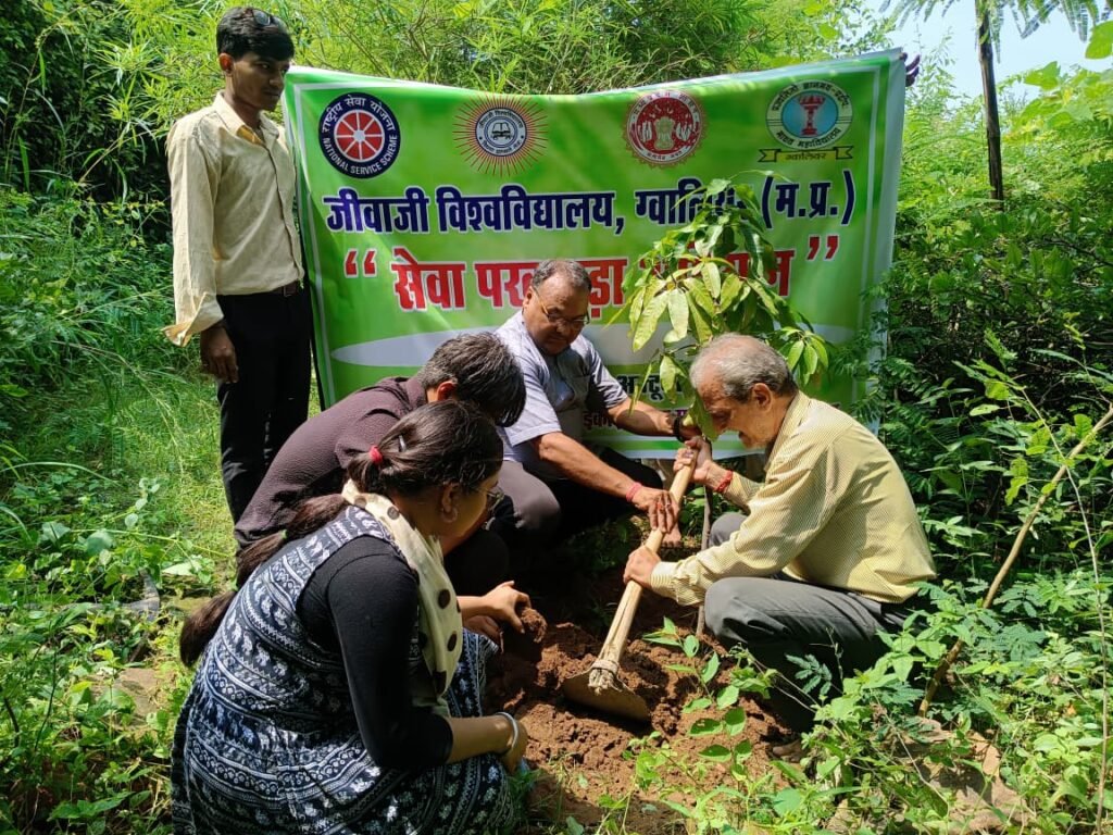 Plantation under Seva Pakhwada